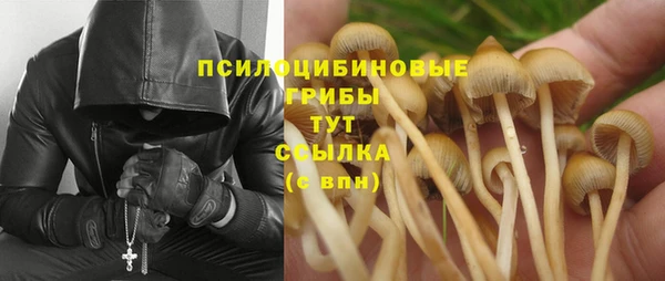 дмт Михайлов