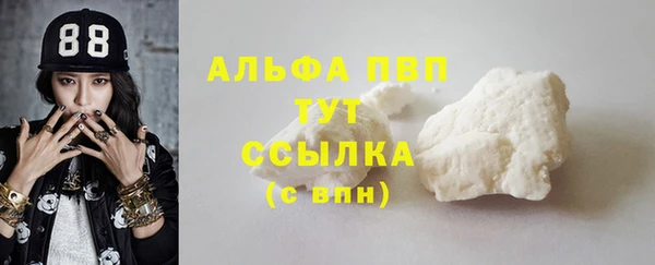тгк Бикин
