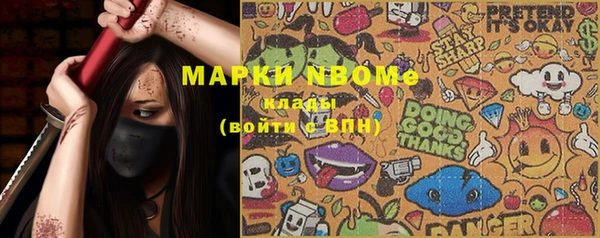 тгк Бикин