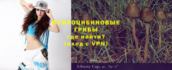 дмт Михайлов