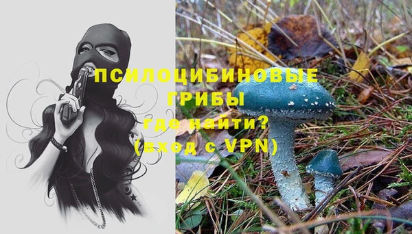 винт Михайловка