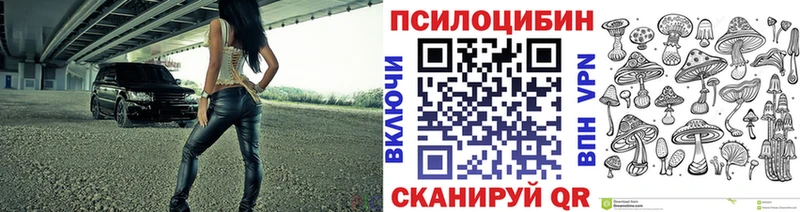 купить закладку  Чудово  Псилоцибиновые грибы Cubensis 